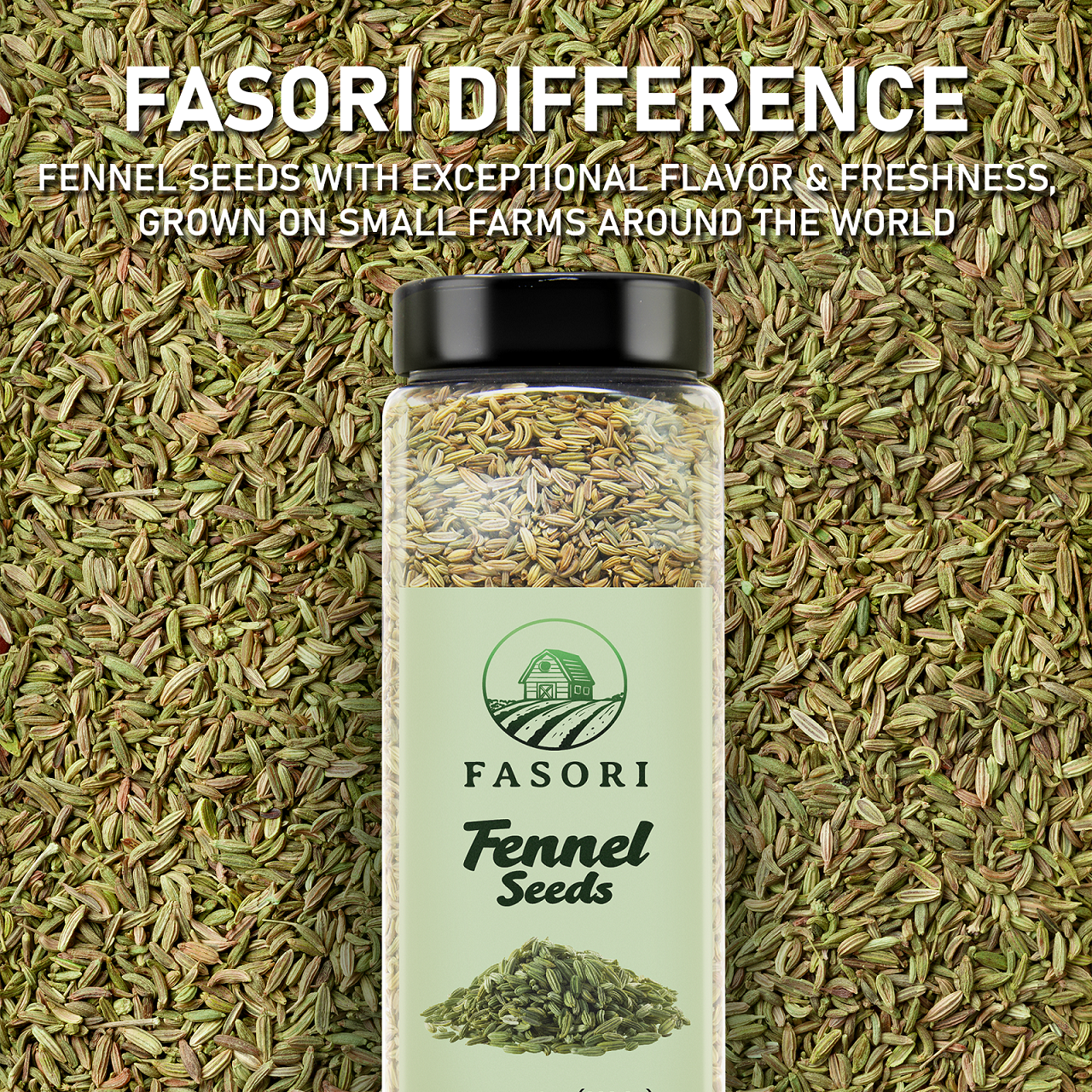 Fasori Fennel Seeds Whole 14 oz (397 g) – Premium Dried Fennel Seed, Aromatic Mediterranean & Indian Spice for Cooking, Tea & Seasoning
