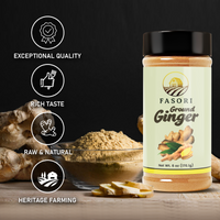 Fasori Ground Ginger Powder 6 oz (170 g) – Premium Fine Ginger Root, Fresh & Aromatic, Perfect for Cooking, Baking, Smoothies & Tea